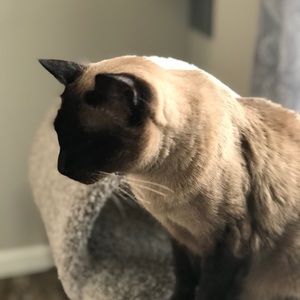 Meet your Posher, Nina